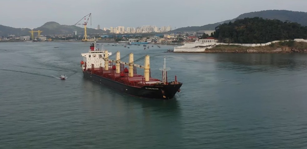 Tripulante foi encontrado no navio Sofie Bulker &mdash; Foto: Reprodu&ccedil;&atilde;o