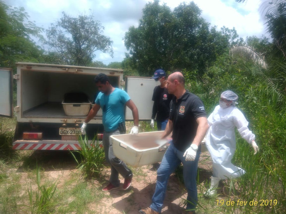 Corpos foram levados ao IML  â Foto: DivulgaÃ§Ã£o/PolÃ­cia Civil