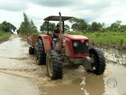 G1 - Cabeleireira cria técnica 'Diamond' e faz sucesso entre as loiras em  MS - notícias em Mato Grosso do Sul