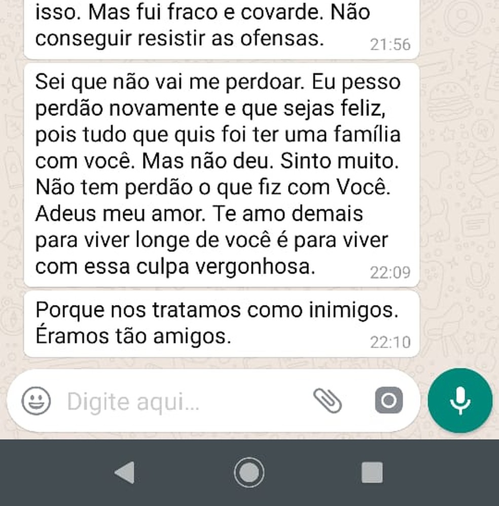 Homem manda mensagem dizendo estar arrependido após agredir mulher em Petrópolis, no RJ — Foto: Reprodução WhatsApp