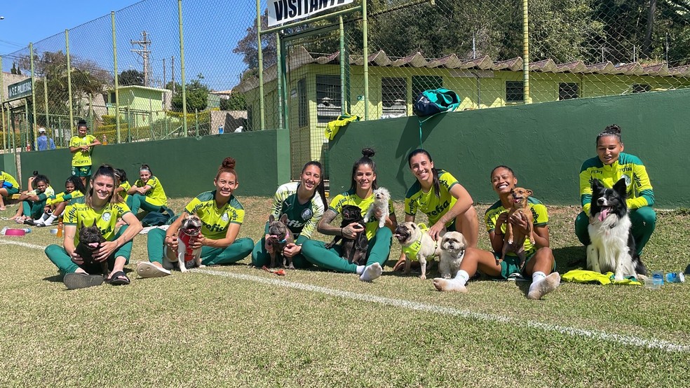 Jogadoras do Palmeiras com os cachorros no treino em Vinhedo  — Foto: Twitter oficial do Palmeiras Feminino 