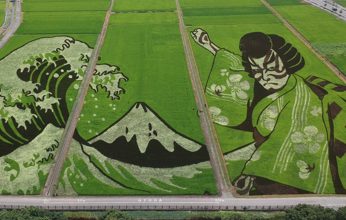 Obra de arte em campo de arroz no Japão celebra Jogos Olímpicos de Tóquio | Pop & Arte