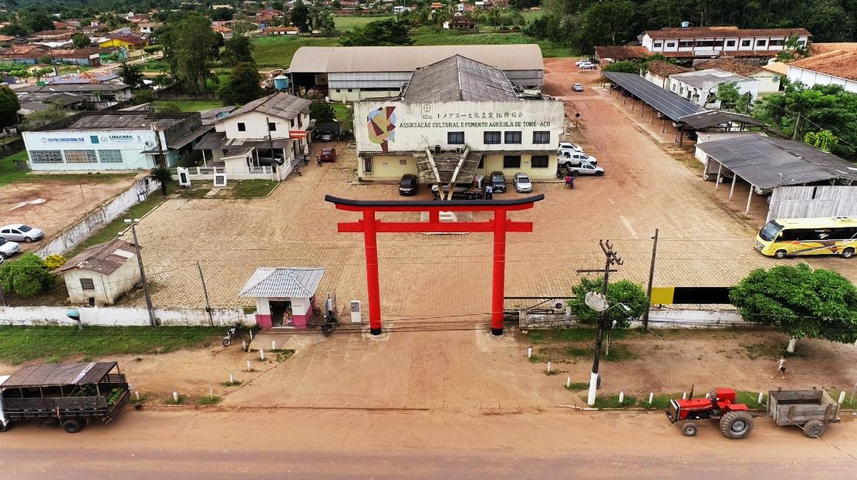 Tomé Açu A Terceira Maior Colônia Japonesa No Brasil É Do Pará Rede Globo 6648