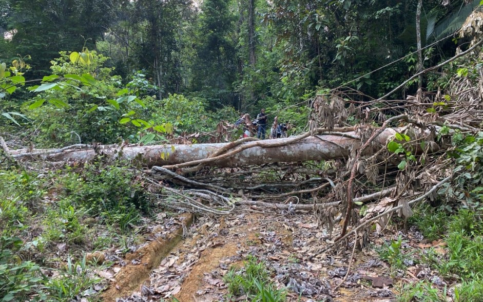 Madeireiros bloqueiam um dos acessos para evitar fiscalização de órgãos ambientais e da polícia — Foto: Reprodução
