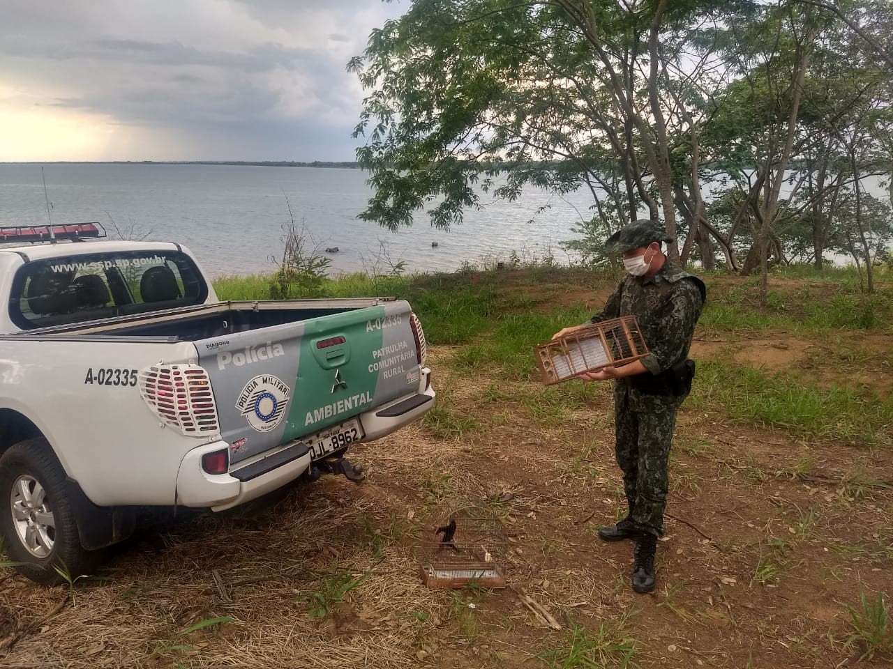 Fiscalização resgata aves silvestres mantidas irregularmente em cativeiro em residência em Panorama thumbnail