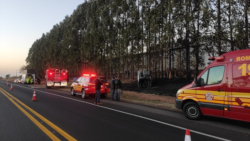 Acidente matou dois rapazes na Rodovia Prefeito Homero Severo Lins — Foto: Polícia Rodoviária