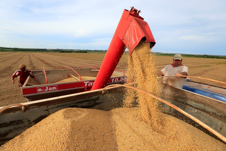 Os grãos colhidos no Sudeste e Centro-Oeste alavancam as projeções