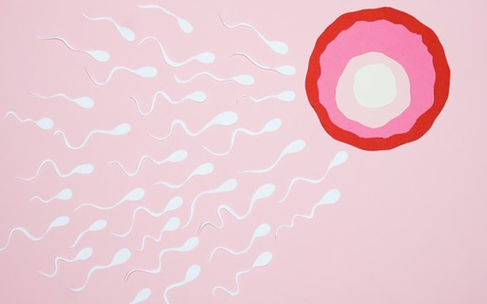 Espermatozóides e óvulos — Foto: Crescer