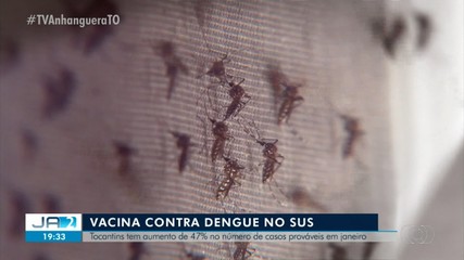Tocantins tem aumento de 47% no número de casos prováveis de dengue em janeiro