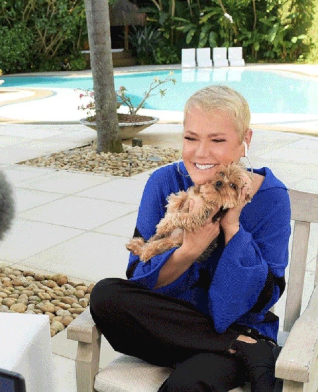 Durante entrevista virtual na pandemia, Xuxa apareceu com um de seus cães de estimação na área externa da casa (Foto: TV Globo)