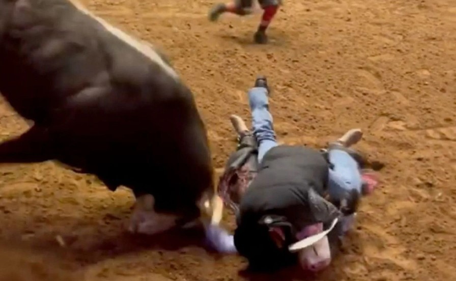Nos EUA, pai se joga sobre filho desmaiado a fim de protegê-lo de touro (Foto: reprodução/instagram)
