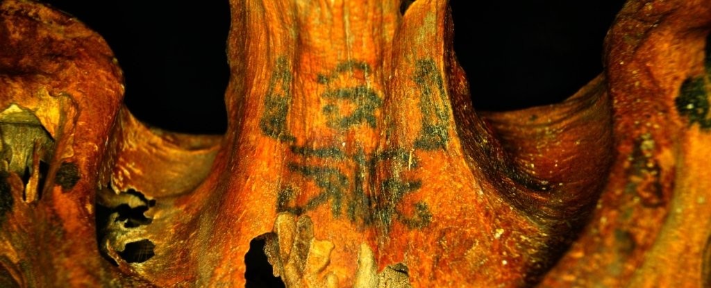No Egito, arqueólogos descobrem 7 múmias de 3 mil anos com tatuagens (Foto: Anne Austin/University of Missouri)
