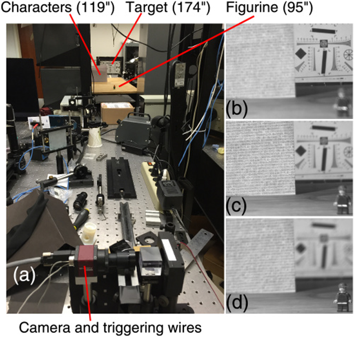 Com o uso de recursos presentes em câmeras atuais, pesquisadores conseguiram capturar imagens 3D (Foto: Divulgação/Universidade de Duke)