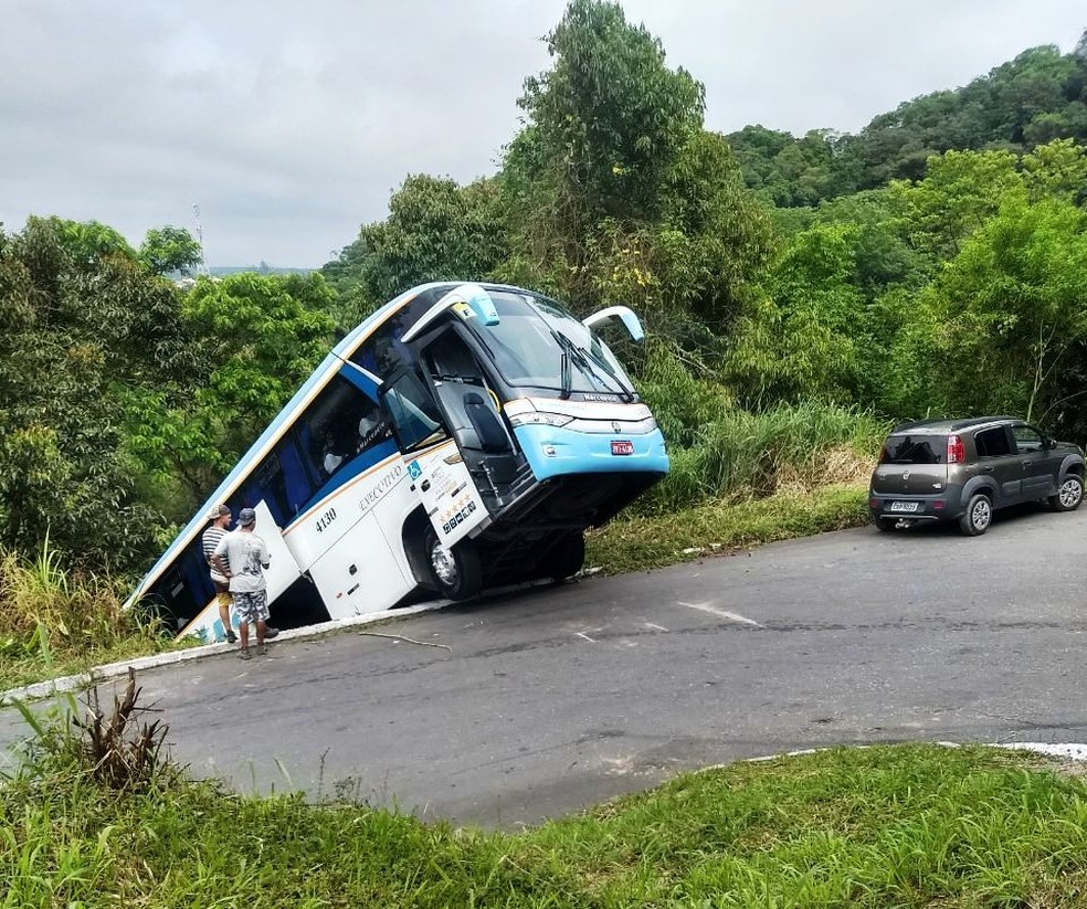 Ônibus preso em uma árvore e quase cai de morro em Iguape, SP (Foto: G1 Santos)