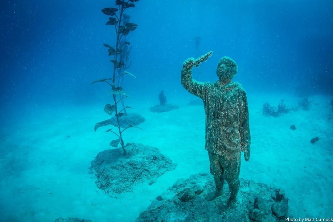 Novo Museu de Arte Subaquática é inaugurado na Austrália (Foto: Divulgação)