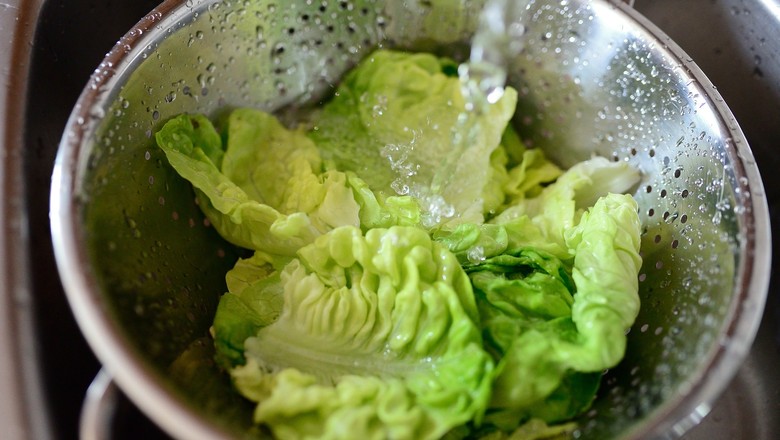 Lavar corretamente os alimentos diminui as chances de se contrair doenças por microrganismos (Foto: Reprodução/congerdesign/Pixabay)