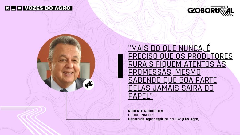 Vozes Roberto Rodrigues (Foto: Globo Rural)
