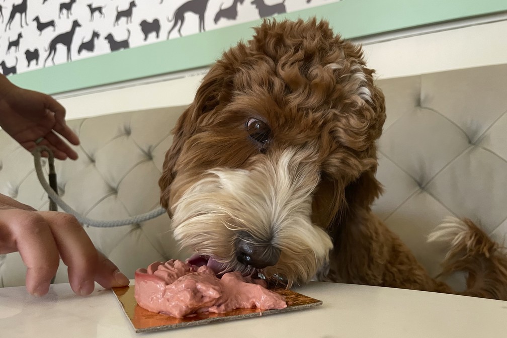 Chef disse que o objetivo real do Dogue é aumentar a conscientização sobre a alimentação do seu cão — Foto: AP Photo/Haven Daley