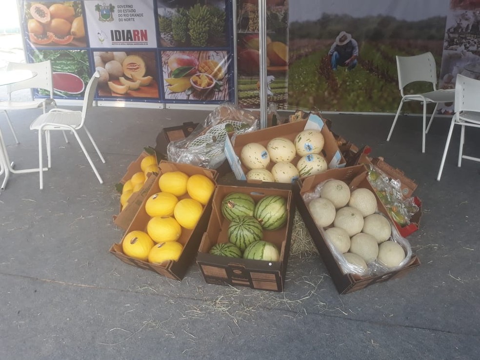 Feira Internacional de Frutas do RN é adiada para 2021 por causa da Covid-19 — Foto: Divulgação 