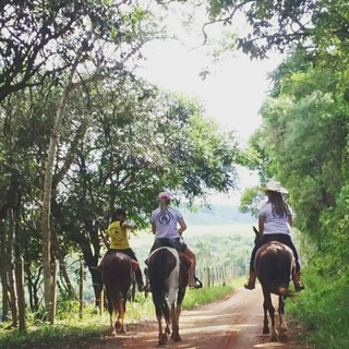 A leitora Fernanda Cruz anda a cavalo junto com suas amigas