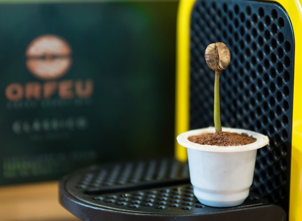 Cápsulas biodegradáveis da Orfeu Cafés Especiais (Foto: Divulgação)
