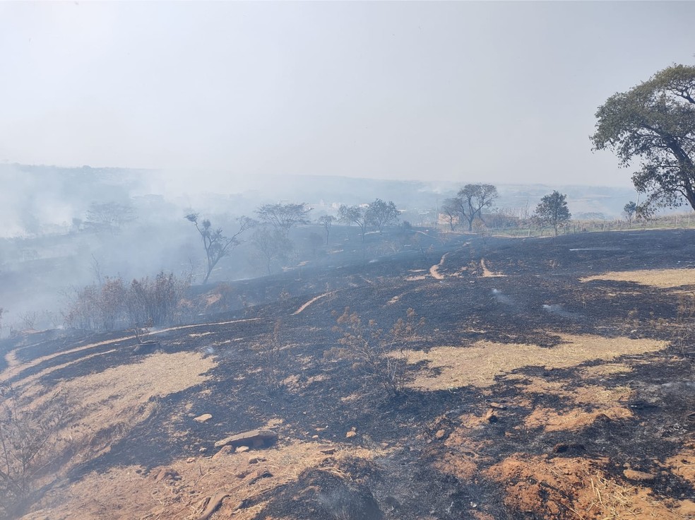 Incêndio chegou próximo às casas e assustou moradores do Residencial Moacyr Trentin, nesta quinta-feira (19) — Foto: Marcos Penteado Trentin