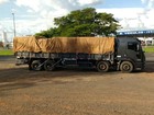 Polícia apreende caminhão carregado com madeira ilegal