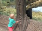 Vídeo fofo mostra menino e gorila bebê brincando de 'esconde-esconde'