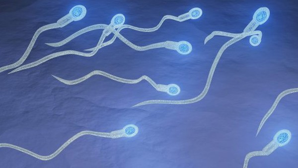 Agua Inglesa Para Descer O Leite 5 Curiosidades Sobre O Semen Que Voce Talvez Nao Conheca Bem