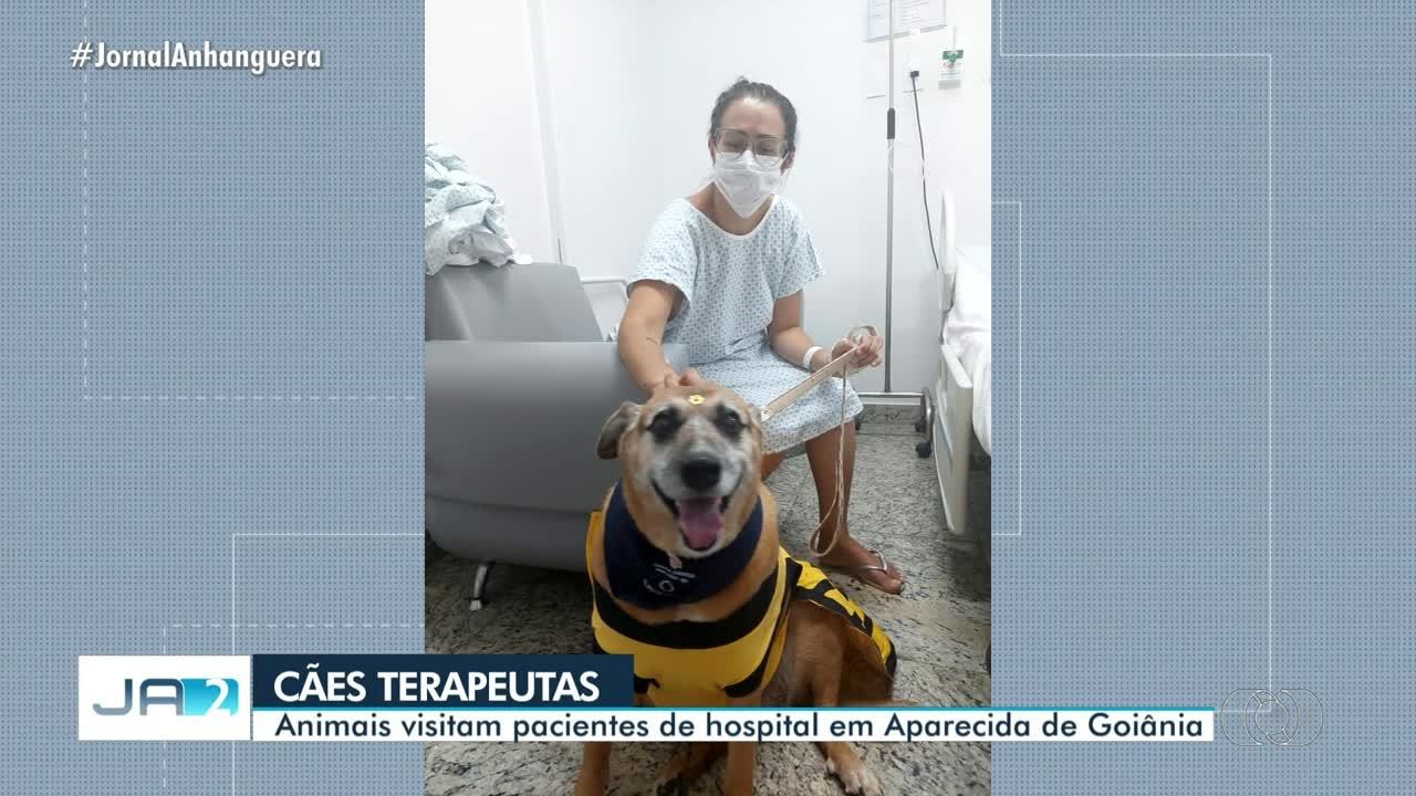 VÍDEOS: Jornal Anhanguera 2ª Edição desta quinta-feira, 24 de março de 2022