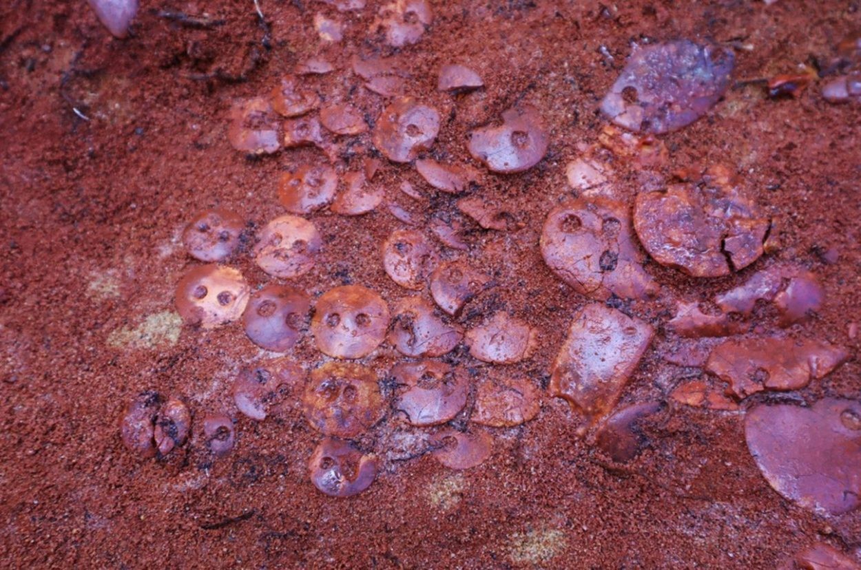 Arqueólogos encontraram 140 joias da Idade do Cobre durante escavações na Rússia  (Foto: Ministério da Ciência e Ensino Superior da Federação Russa)