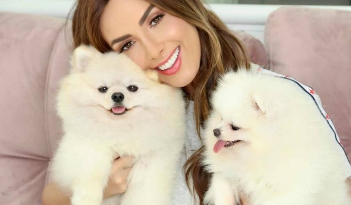 Nicole Bahls: “Não sinto energia boa em quem não gosta de animais”