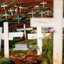 Foto: (Cemitério em Jacarta, na Indonésia, reserva área para enterros de vítimas da Covid-19 católicas / Willy Kurniawan/Reuters)