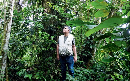 Cupulate: o desafio do 'primo' do chocolate que pode ajudar Amaz&ocirc;nia, segundo  pesquisadores - &Eacute;poca Neg&oacute;cios | Um S&oacute; Planeta