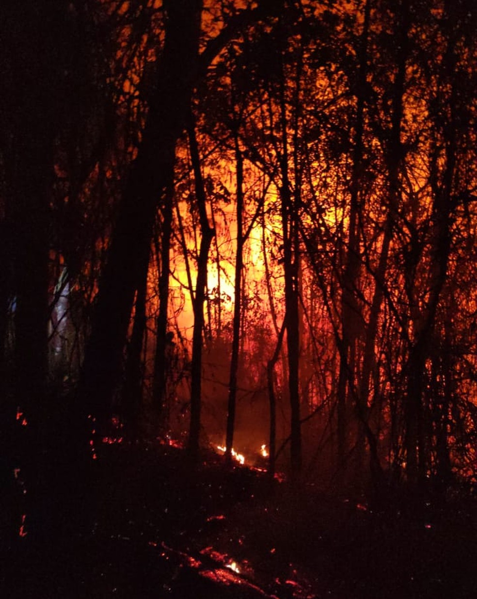 Fogo atinge a região do Campo do Coelho, em Nova Friburgo, há três dias — Foto: Corpo de Bombeiros de Nova Friburgo/ Divulgação