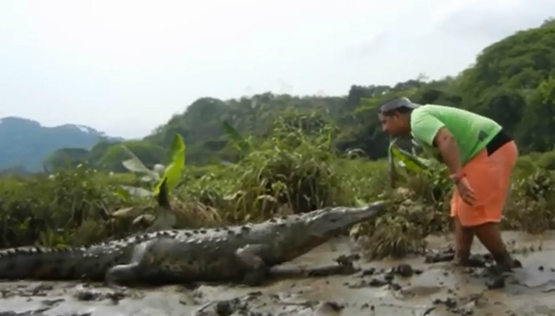 crocodilo_costa_rica_planeta_bicho (Foto: Reprodução/YouTube/Forest)