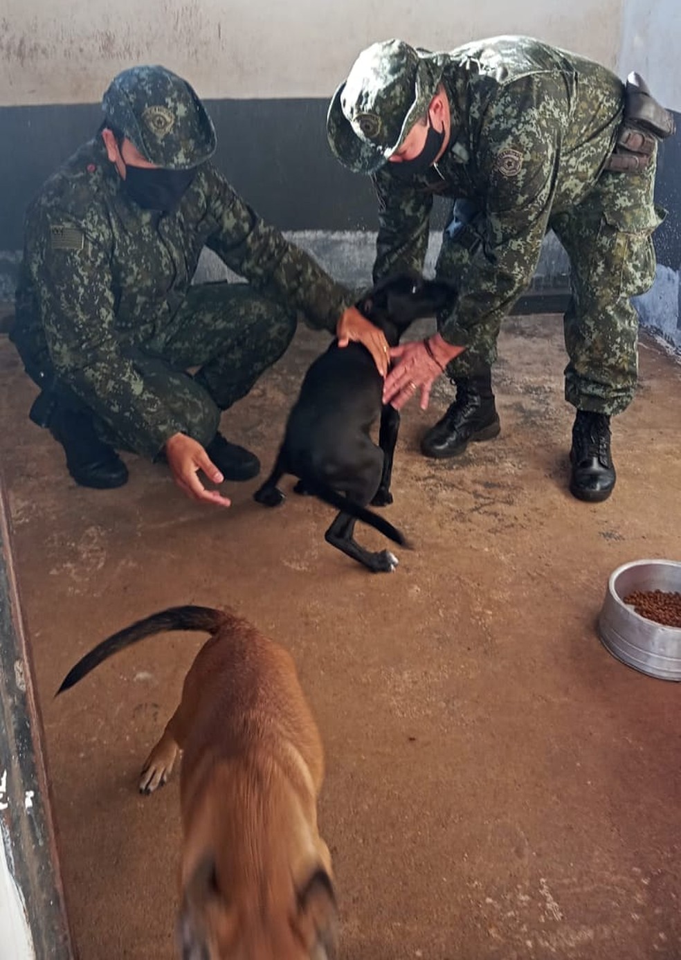 Homem recebe multa de R$ 3 mil por maus-tratos a animal — Foto: Polícia Ambiental 
