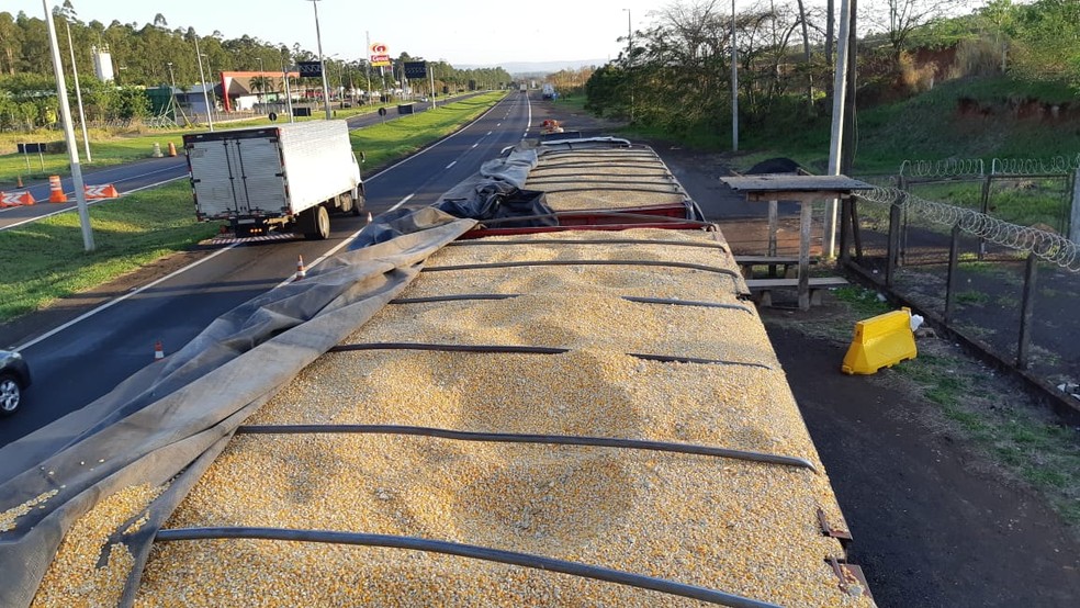 Caminhão tinha placas de Maringá (PR) e motorista foi preso em flagrante por crime de contrabando  — Foto: Polícia Rodoviária Federal/Divulgação