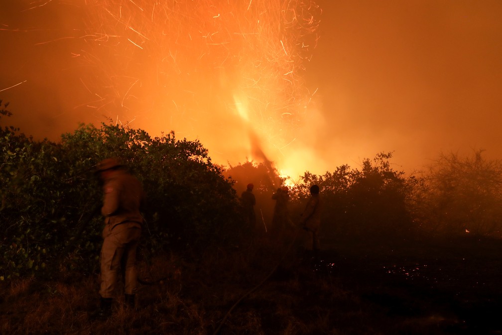 Bombeiros tentam apagar incêndio no Pantanal, em Poconé, Mato Grosso, no dia 26 de agosto. — Foto: Amanda Perobelli/Reuters