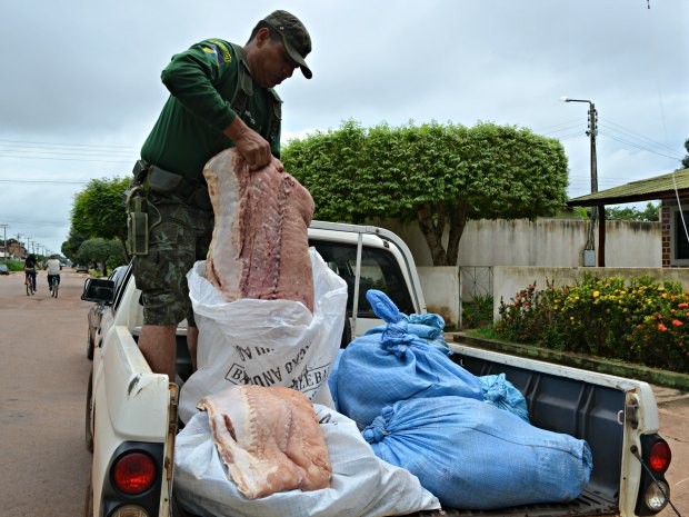 Pirarucu seria comercializado no Mercado do Peixe de Guajará (Foto: Rosiane Vargas/G1)