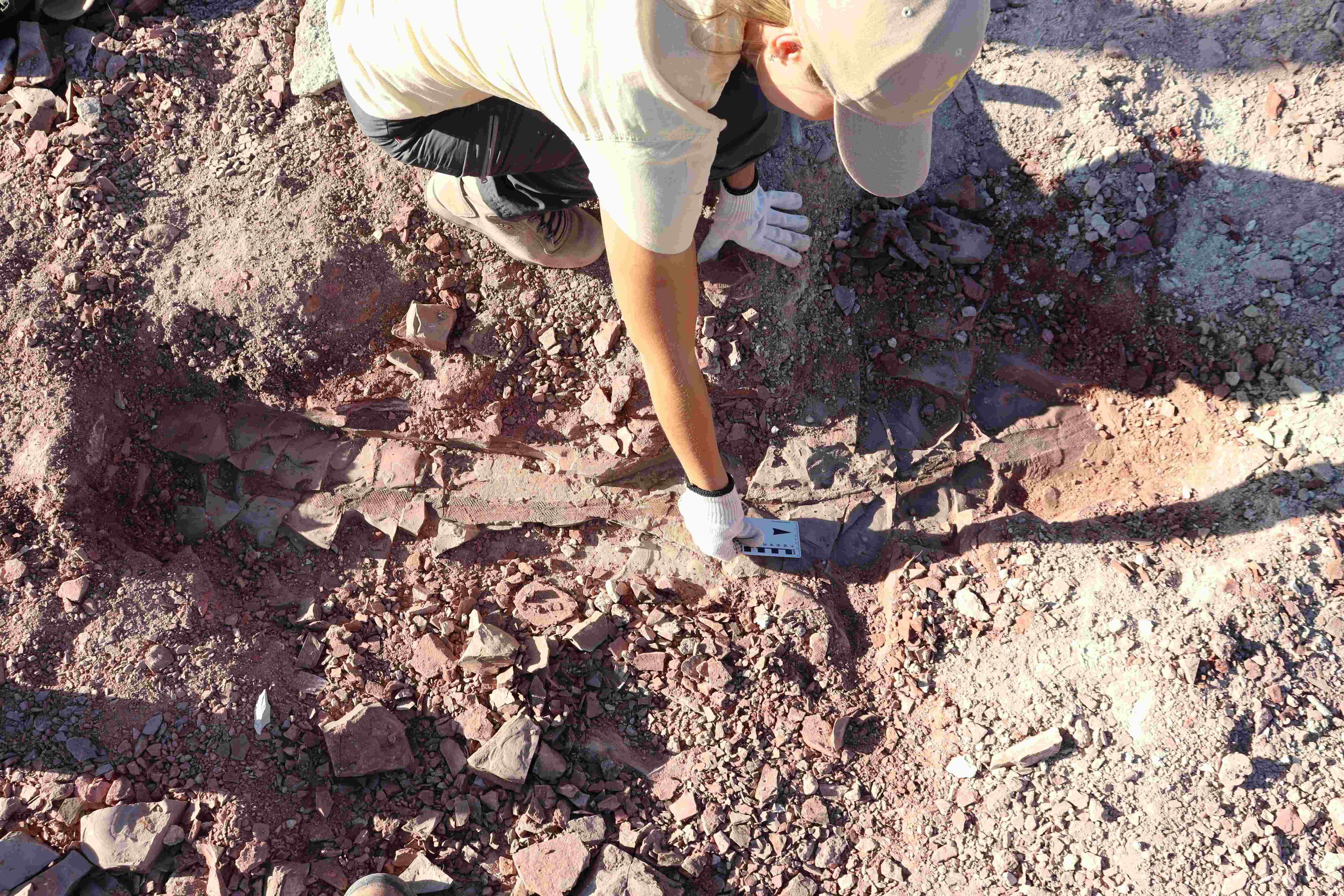 Escavações no sítio paleontológico redescoberto em Dom Pedrito (RS)  (Foto: Ferraz et al.)