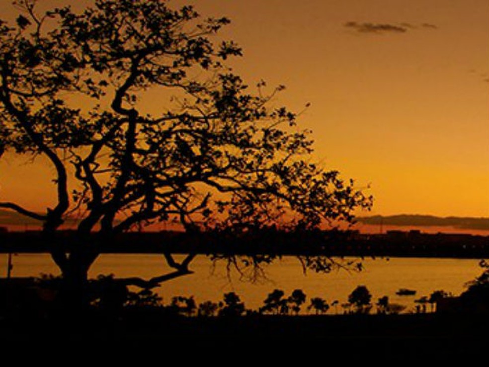 Paisagem no Parque Dom Bosco, no Lago Sul — Foto: Marcus Paredes/Ibram