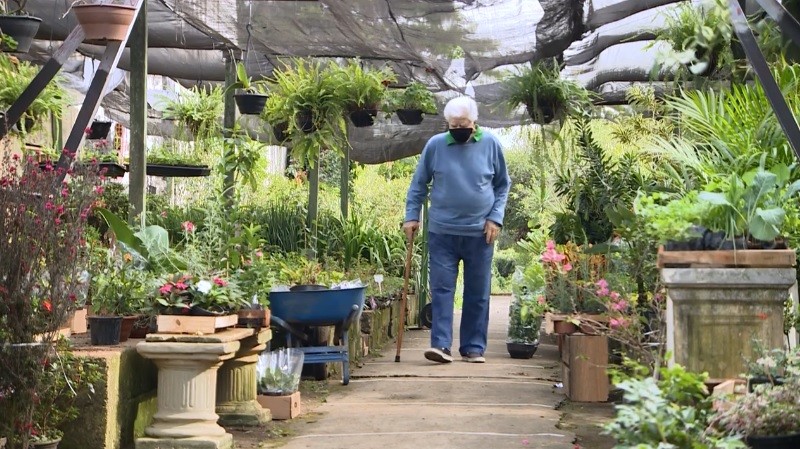 Dono de loja de plantas viraliza nas redes sociais e consegue salvar o negócio thumbnail