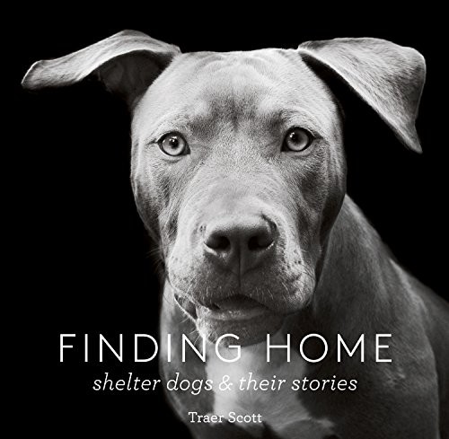 Livro Finding Home: Shelter Dogs and Their Stories (Foto: Reprodução)