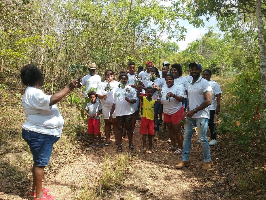 Cura pela natureza: comunidade quilombola produz remédios naturais preservando plantas do Cerrado
