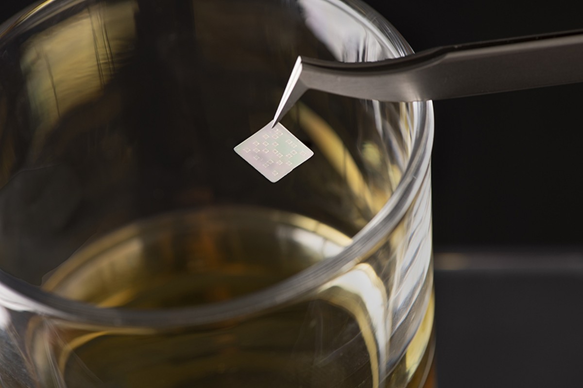 Etiqueta comestível identifica bebidas e remédios falsificados;  veja como funciona |  Inovação