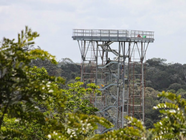 Museu no Acre abriga réplica do Purussaurus e até caixa que só será aberta  em 2120 - Portal Amazônia