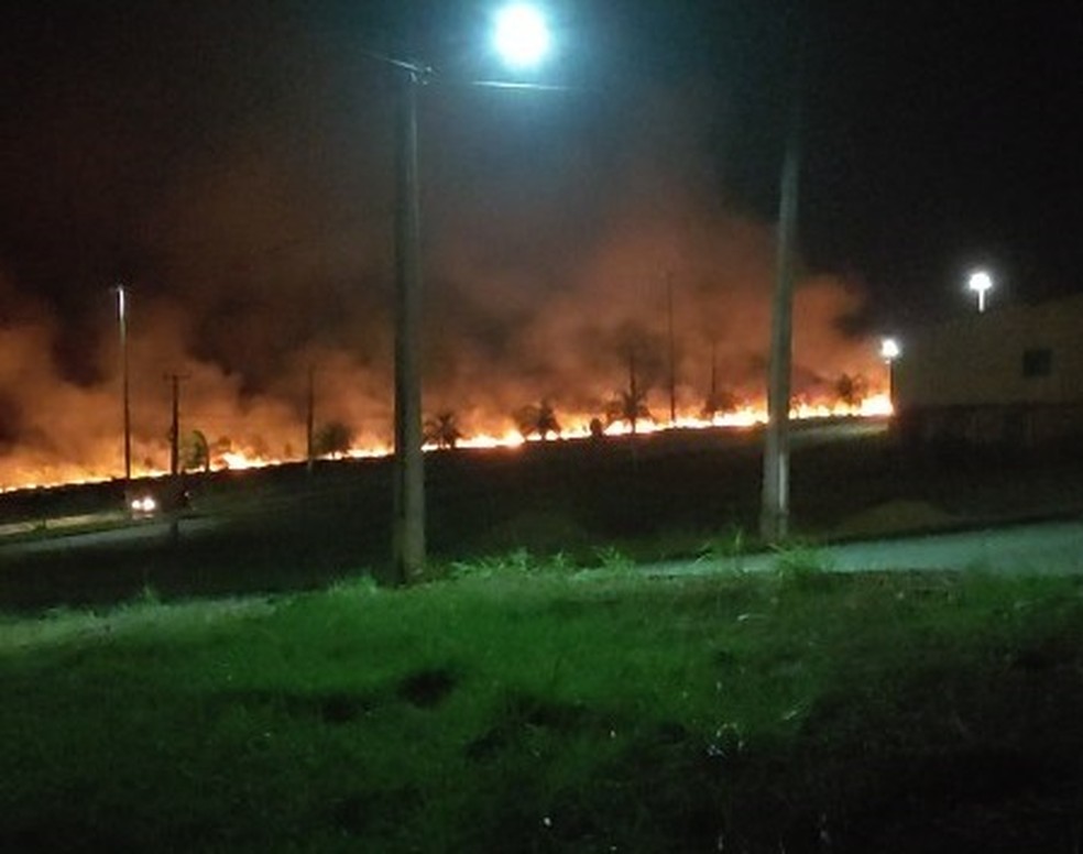 Queimada deixa rastro de fumaça e chamas por dois quilômetros em Altamira, no Pará. — Foto: Reprodução / TV Liberal