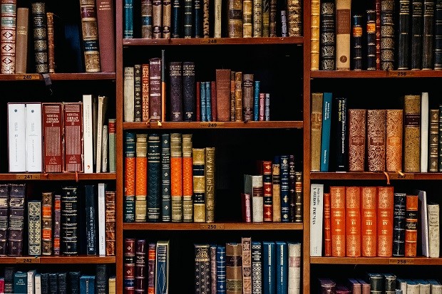 Biblioteca; livraria; livros (Foto: Iñaki del Olmo on Unsplash)