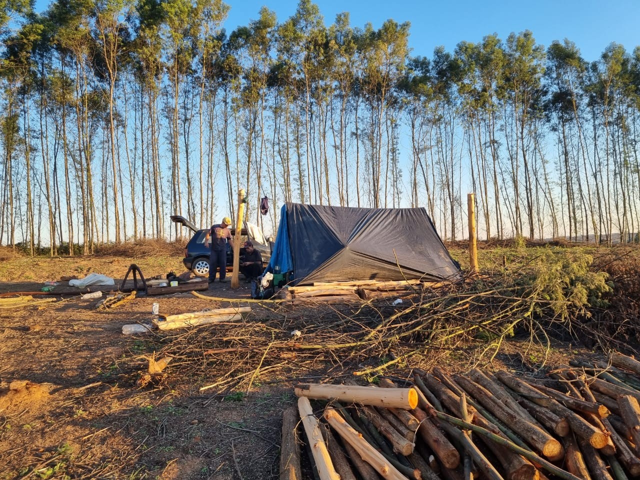 Operação em Triunfo resgata 9 trabalhadores em condições análoga à escravidão, diz MTE